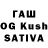 Галлюциногенные грибы Psilocybine cubensis Sivas Dorosh