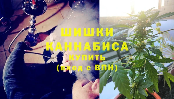 spice Алзамай