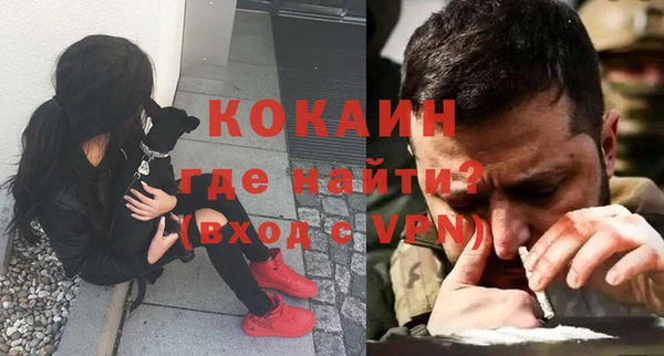 дживик Алексеевка