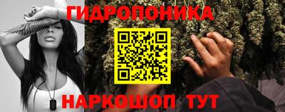 молекула духа Обь