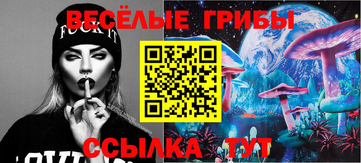 Псилоцибиновые грибы ЛСД  Вход с VPN  Арзамас  Псилоцибиновые грибы GOLDEN TEACHER 